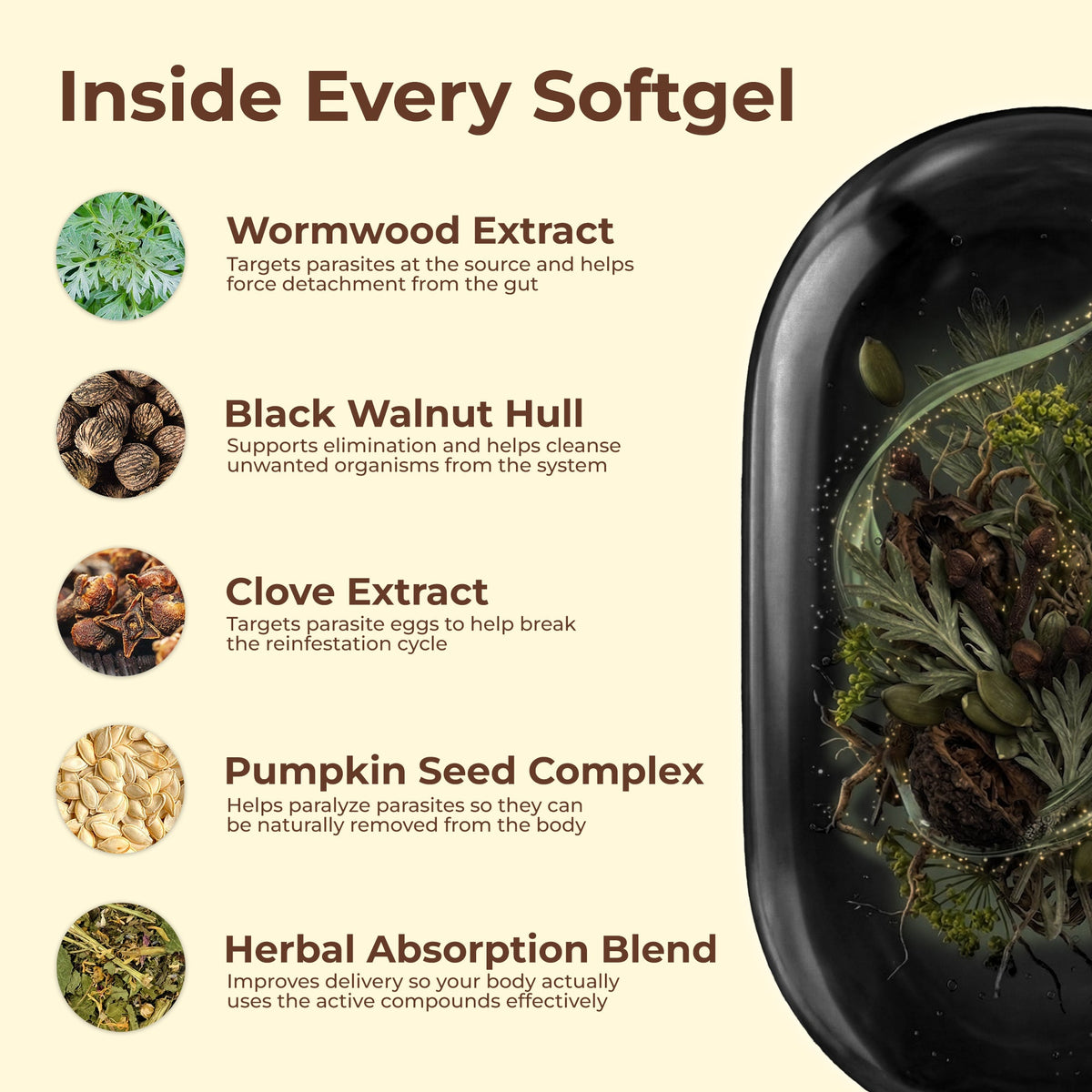 Inside every Holior softgel: wormwood, black walnut hull, clove, pumpkin seed and herbal blend